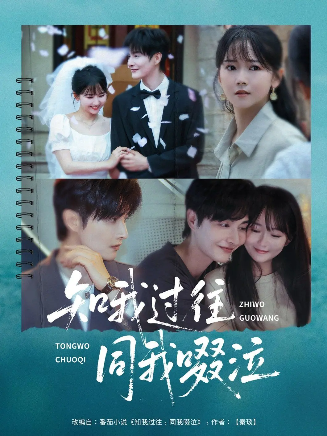 泪目！《知我过往同我啜泣》：一部触及灵魂深处的时代悲歌，致敬无名英雄！