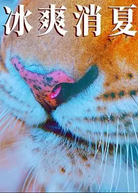 《寒冰白血》：绝望中的希望，关于疾病、爱与人生的深刻思考