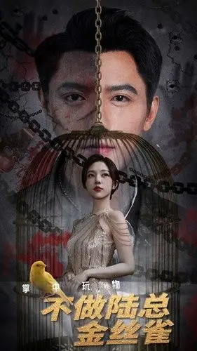 《掌中玩物不做陆总金丝雀》：反套路！看倔强女主如何摆脱霸总掌控，玩转职场！