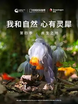 《我和自然 心有灵犀》第四季：共生之地 - 探索人与自然和谐共生的奥秘