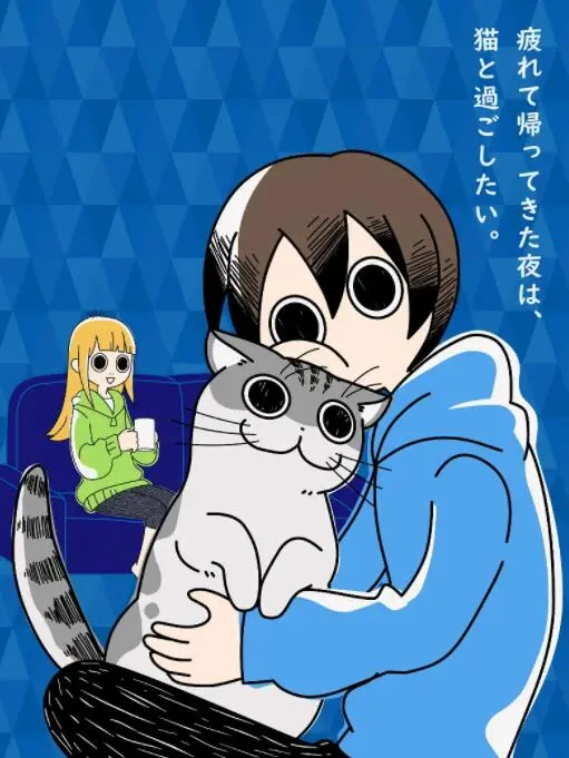 《关于养猫我一直是新手》：毛茸茸的治愈与新手铲屎官的爆笑日常，解锁养猫的奇妙旅程！