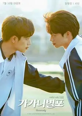 《哥哥你别跑》：一场关于爱与救赎的温情治愈之旅，亲情羁绊能否冲破阴霾？