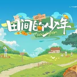 田间的少年 海报