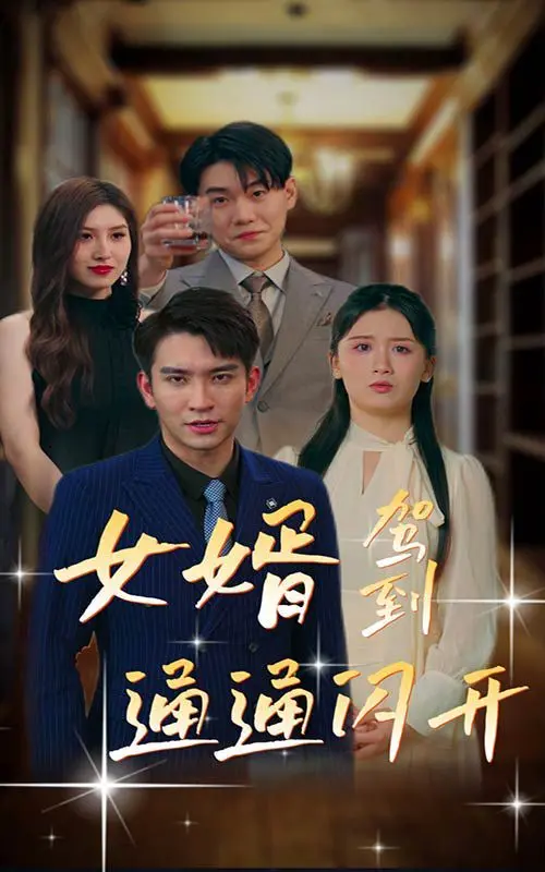 《女婿驾到通通闪开》：狗血剧情原地起爆！这离奇事件般的“爽”感谁顶得住？！